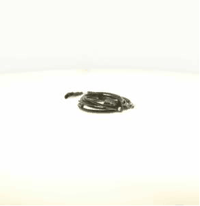 Sensor, wheel speed (AZMT-49-020-1331)