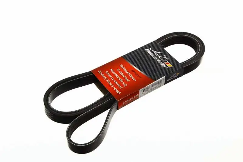 V-Ribbed Belt (AZMT-20-033-1691)