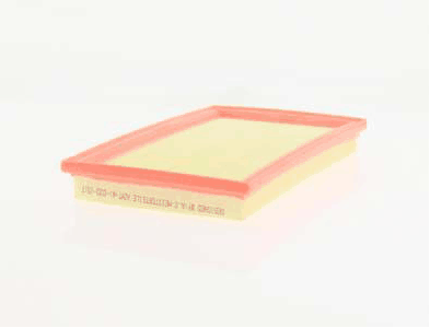 Air Filter (AZMT-41-030-1517)