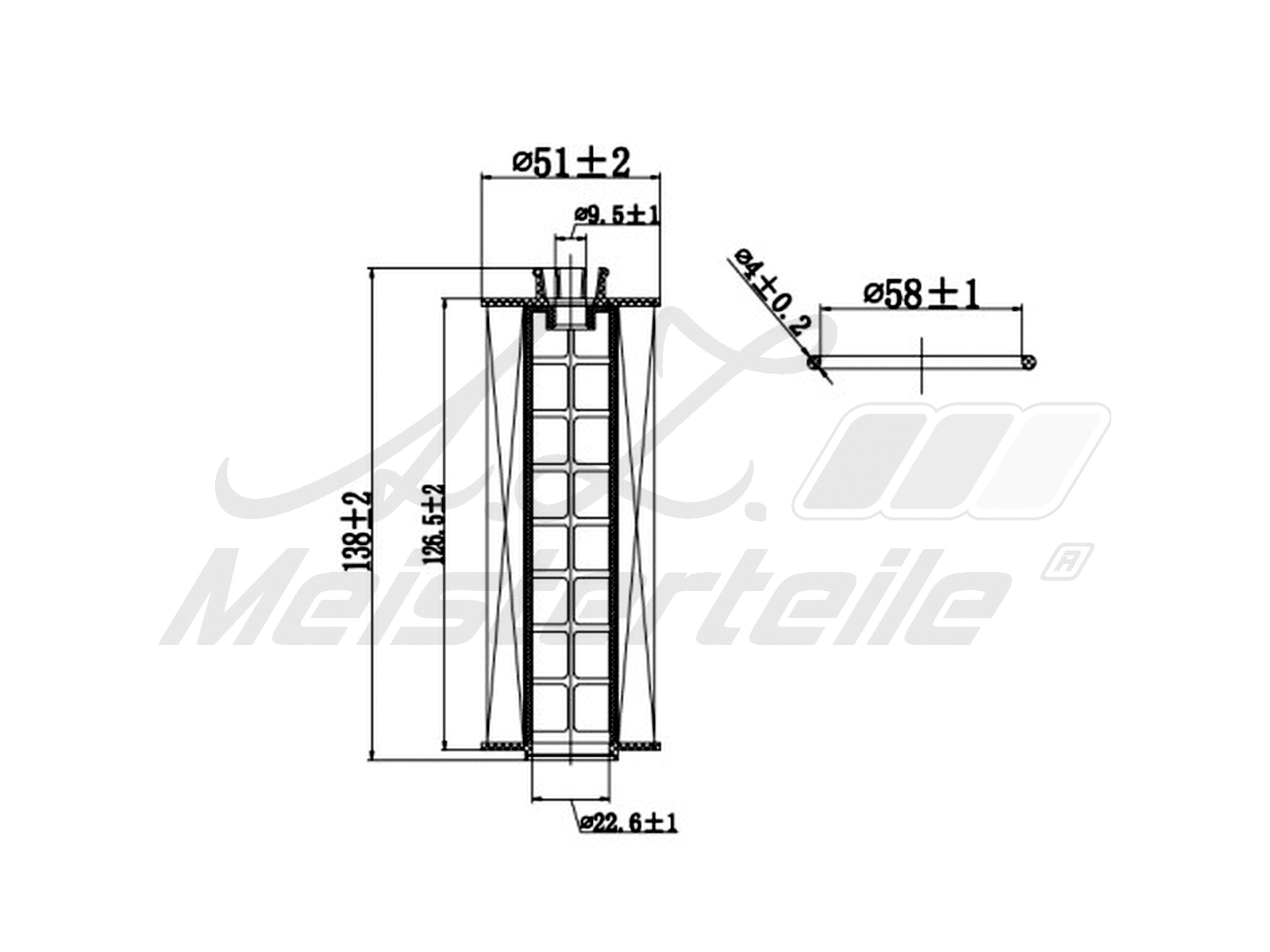 Fuel Filter (AZMT-41-020-1401)
