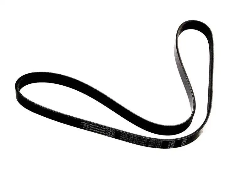 V-Ribbed Belt