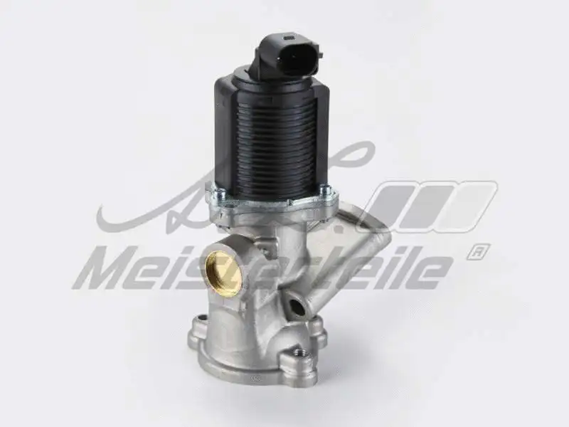 EGR Valve (AZMT-30-010-1118)