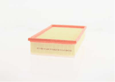 Air Filter (AZMT-41-030-1124)