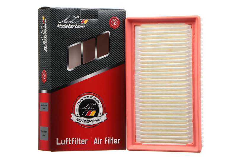 Air Filter (AZMT-41-030-2031)