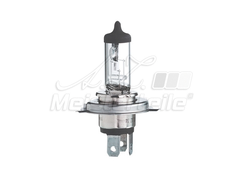 Bulb, spotlight (AZMT-49-090-0023)