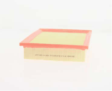 Air Filter (AZMT-41-030-1107)