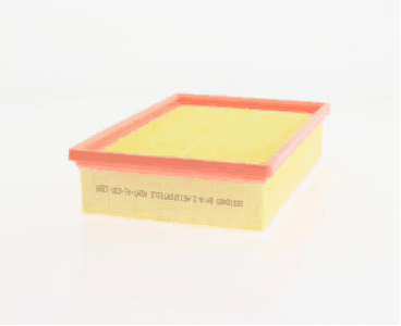 Air Filter (AZMT-41-030-1209)