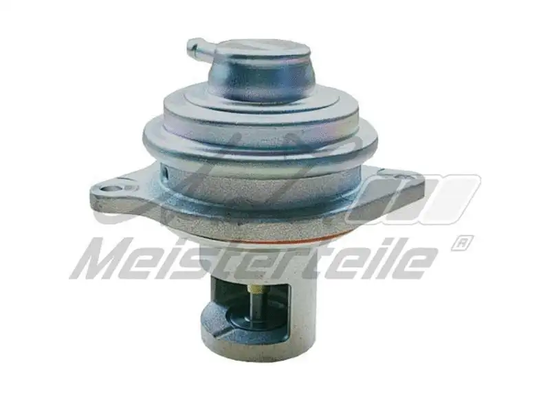 EGR Valve (AZMT-30-010-1100)