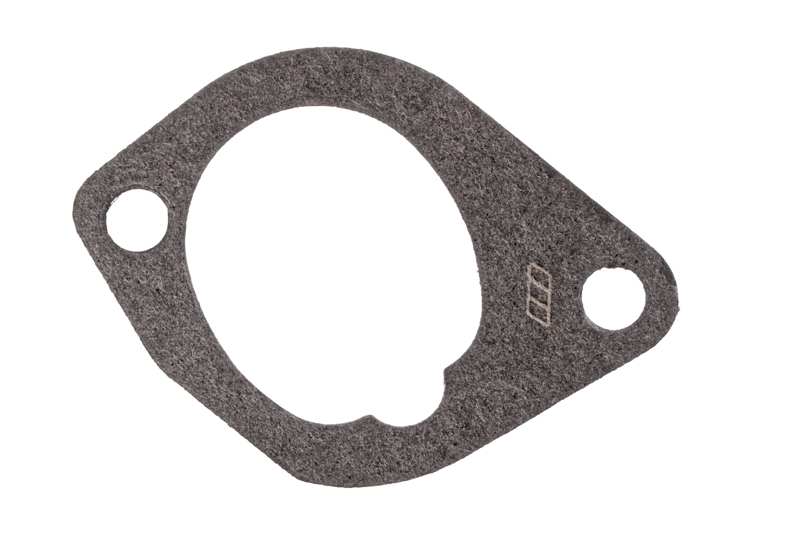 Gasket, intake manifold (AZMT-52-027-1421)