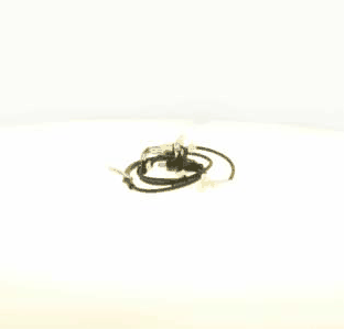 Sensor, wheel speed (AZMT-49-020-5059)