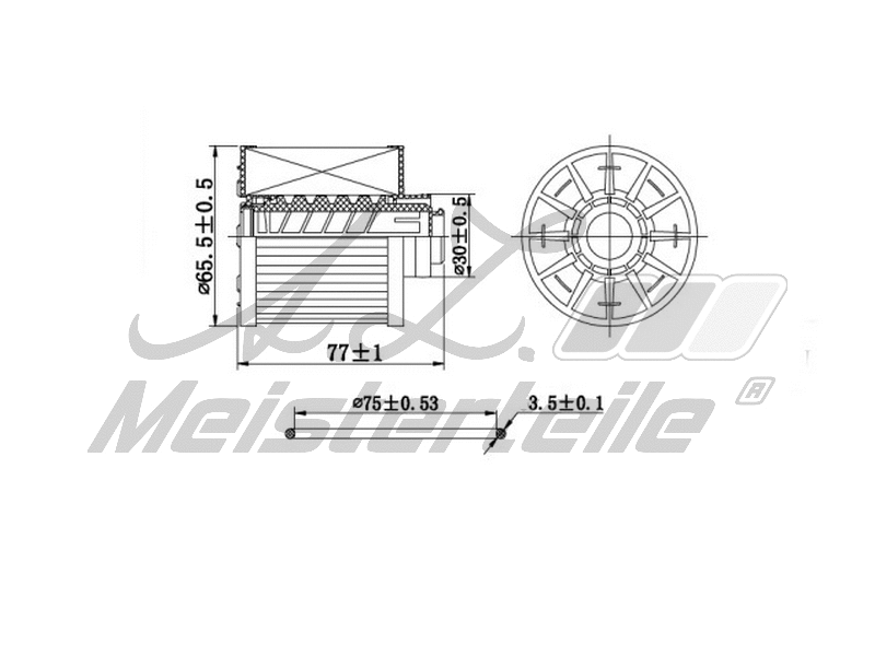 Fuel Filter (AZMT-41-020-1417)