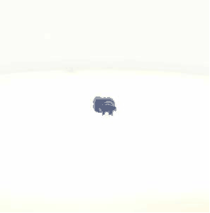 Stop Light Switch (AZMT-49-020-1959)