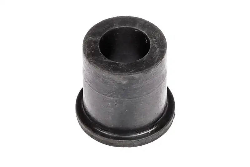 Bushing, leaf spring
