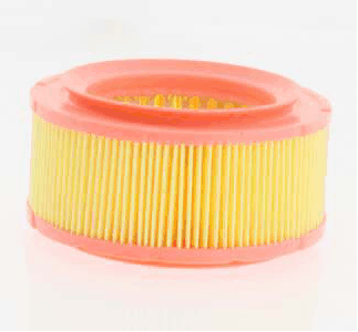 Air Filter (AZMT-41-030-1259)