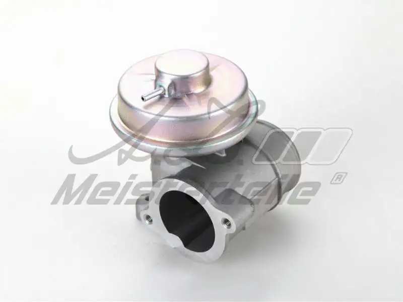 EGR Valve (AZMT-30-010-1080)