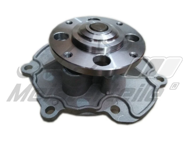 Water Pump, engine cooling (AZMT-30-100-1493)