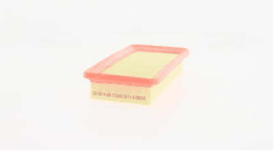 Air Filter (AZMT-41-030-1213)