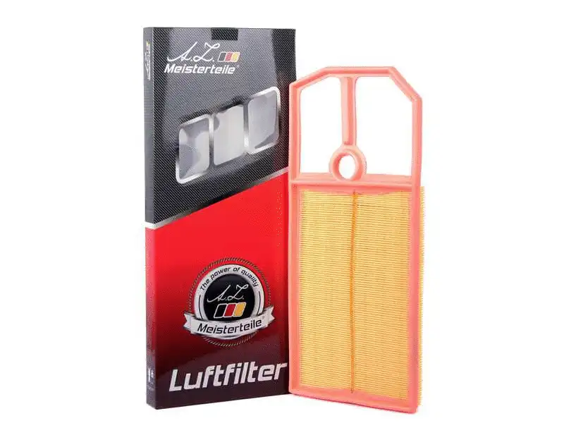 Air Filter (AZMT-41-030-1125)