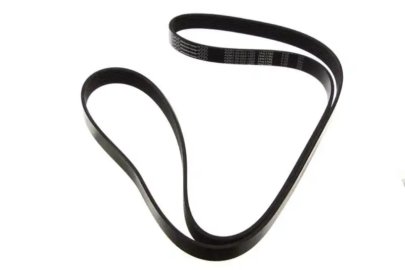 V-Ribbed Belt
