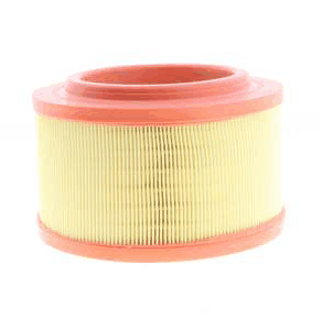 Air Filter (AZMT-41-030-1955)