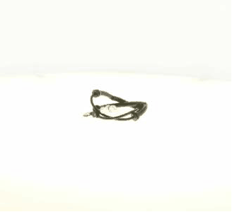 Sensor, wheel speed (AZMT-49-020-1283)