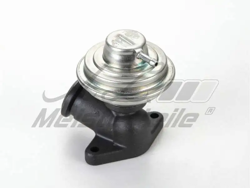 EGR Valve (AZMT-30-010-1091)