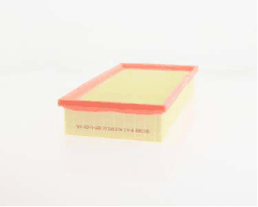 Air Filter (AZMT-41-030-1676)