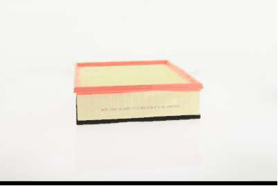 Air Filter (AZMT-41-030-1639)