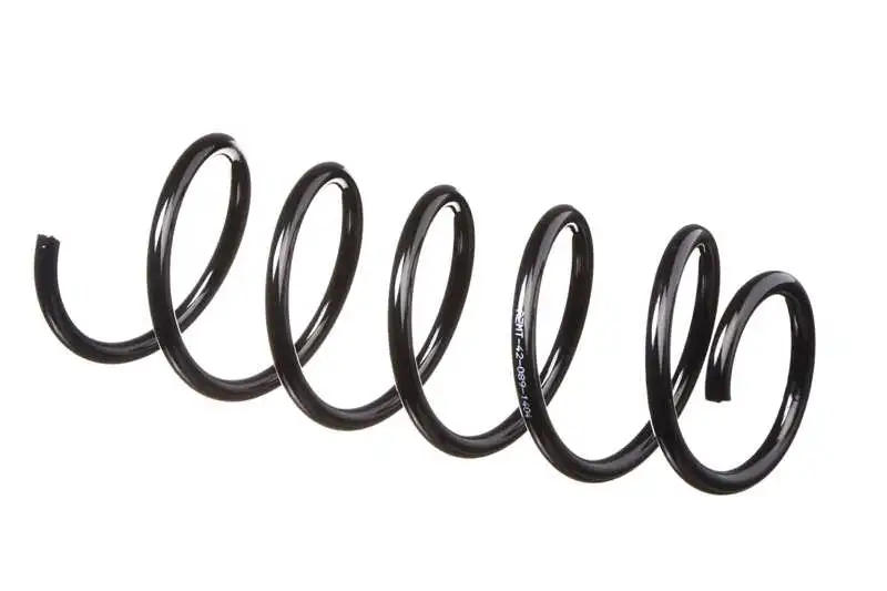 Suspension Spring (AZMT-42-089-1404)