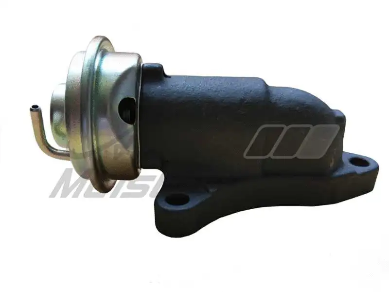 EGR Valve (AZMT-30-010-1113)