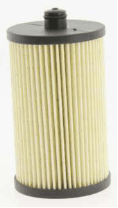Fuel Filter (AZMT-41-020-1304)