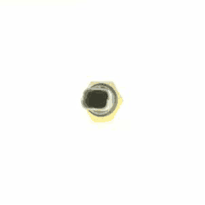 Switch, reverse light (AZMT-49-020-2836)