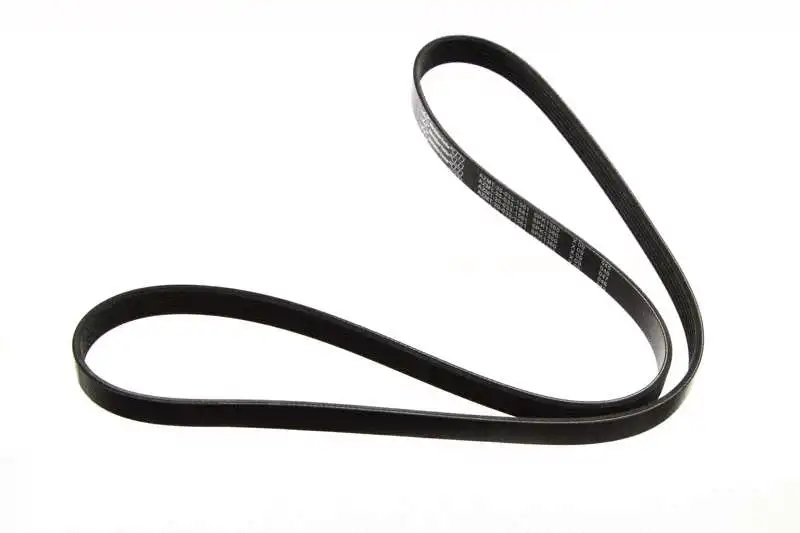 V-Ribbed Belt (AZMT-20-033-1561)