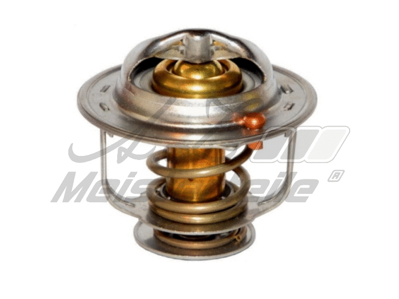 Thermostat, coolant (AZMT-46-040-2098)