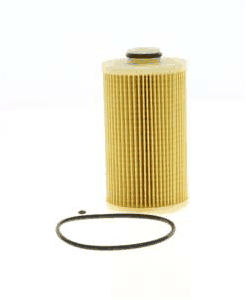 Fuel Filter (AZMT-41-020-1318)