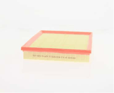 Air Filter (AZMT-41-030-1491)