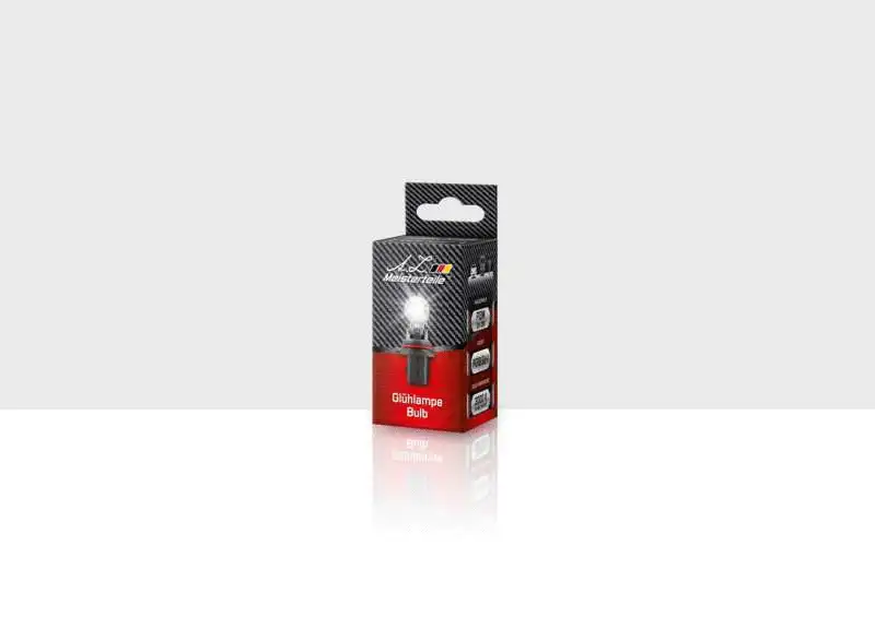 Bulb, spotlight (AZMT-49-090-0091)