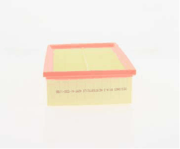 Air Filter (AZMT-41-030-1150)