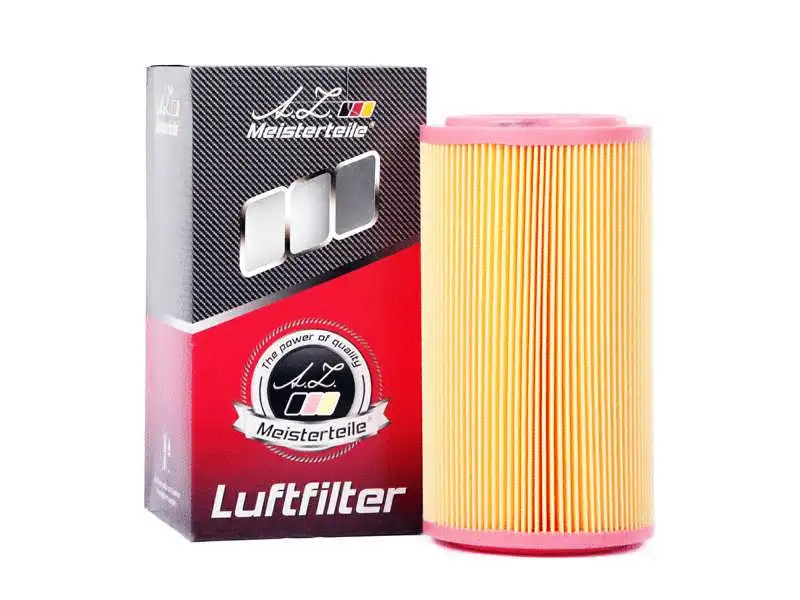 Air Filter (AZMT-41-030-1299)