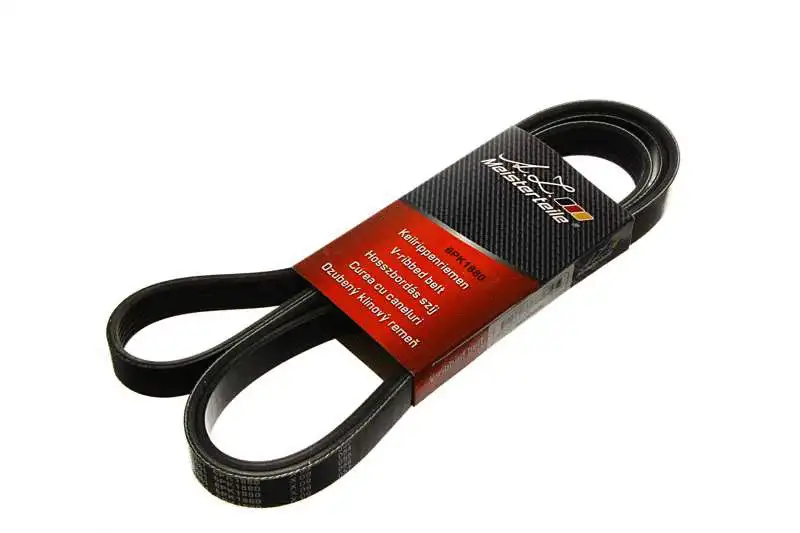 V-Ribbed Belt (AZMT-20-033-1661)