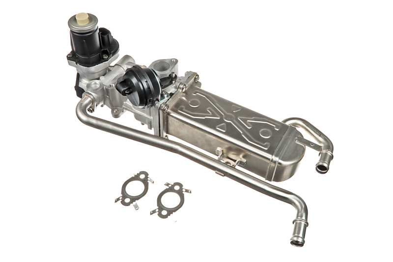 EGR Valve (AZMT-30-010-1081)