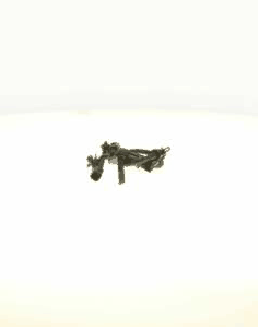 Sensor, wheel speed (AZMT-49-020-1347)