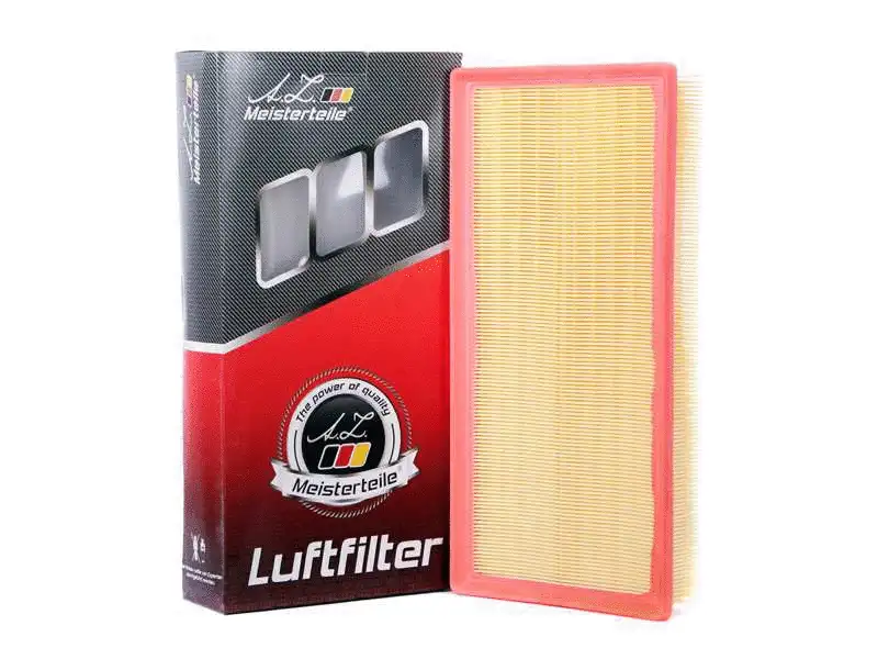Air Filter (AZMT-41-030-1117)