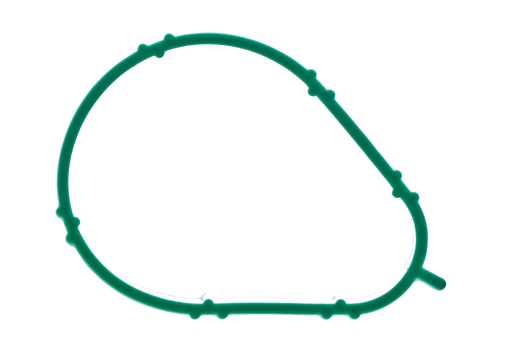 Gasket, intake manifold (AZMT-52-023-1669)