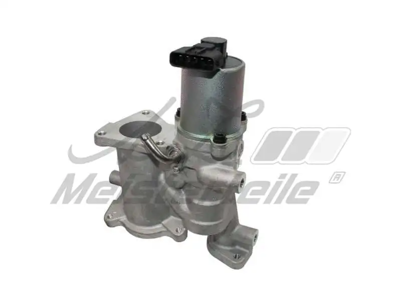 EGR Valve (AZMT-30-010-1124)