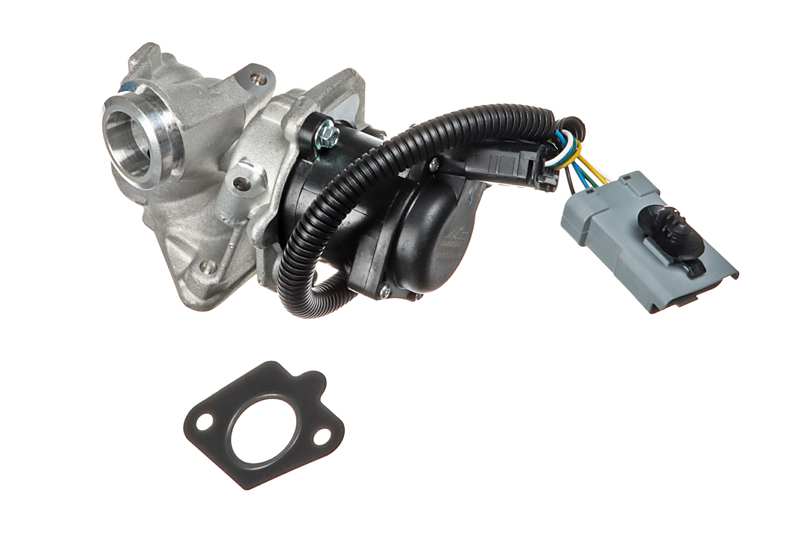 EGR Valve