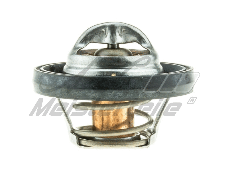 Thermostat, coolant (AZMT-46-040-2135)