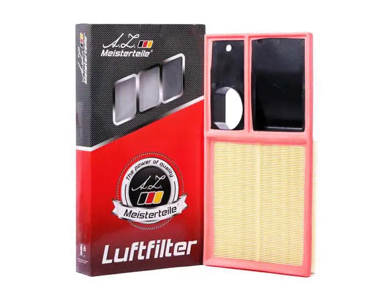 Air Filter (AZMT-41-030-1369)