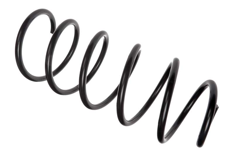 Suspension Spring (AZMT-42-089-1456)