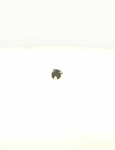 Stop Light Switch (AZMT-49-020-1947)